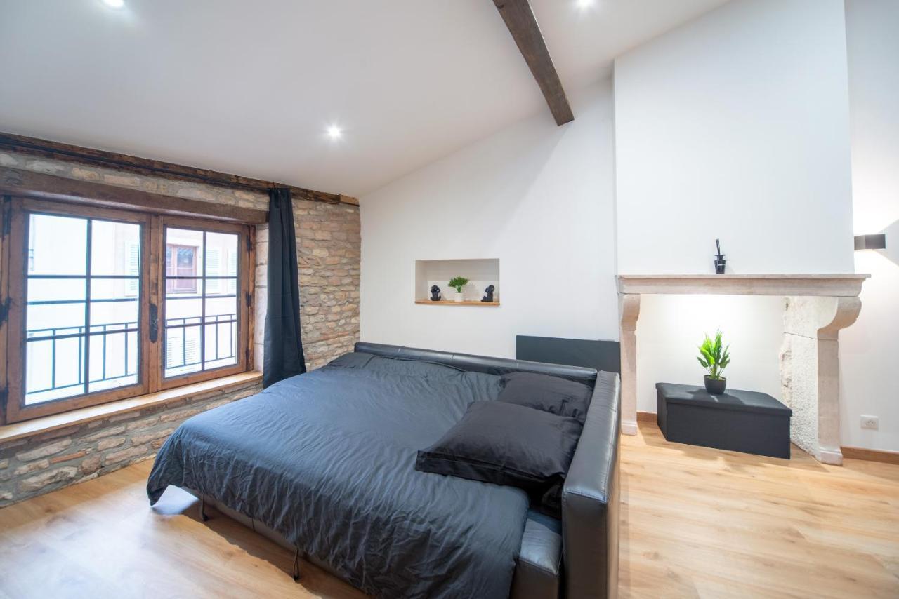 Loft Au Coeur Du Centre Ville Mâcon Eksteriør bilde